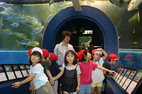 二日目は魚津水族館に行ってきました!